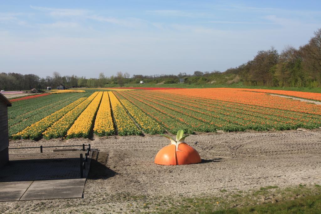 ホテル セント ヴィンセント Poeldijk エクステリア 写真